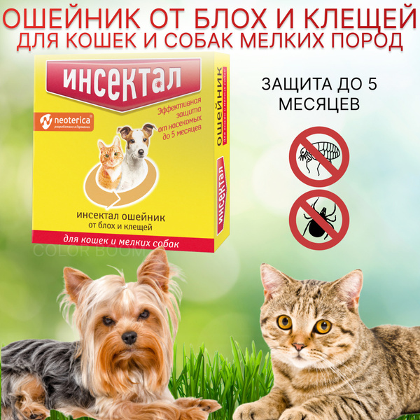 Инсектал ошейник для кошек и мелких собак защита от блох и клещей ...