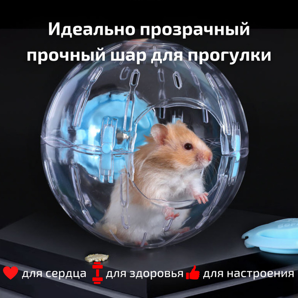 Прогулочный шар для грызунов / шар для хомяка - купить с доставкой по ...