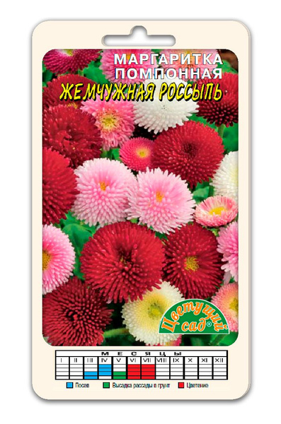 Маргаритки Цветущий сад МЦ Маргаритка АССОРТИ - купить по выгодным ...