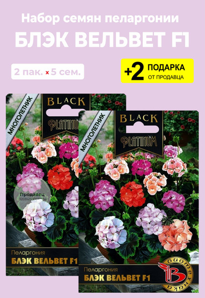 Пеларгонии (Герань) Проверенные семена Вильвет12_зеленый - купить по ...
