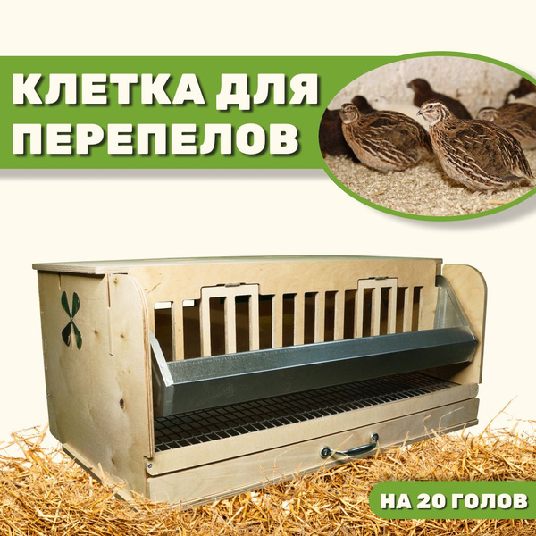 Клетка для перепелов на 20 голов из фанеры для с/х птиц в полной ...