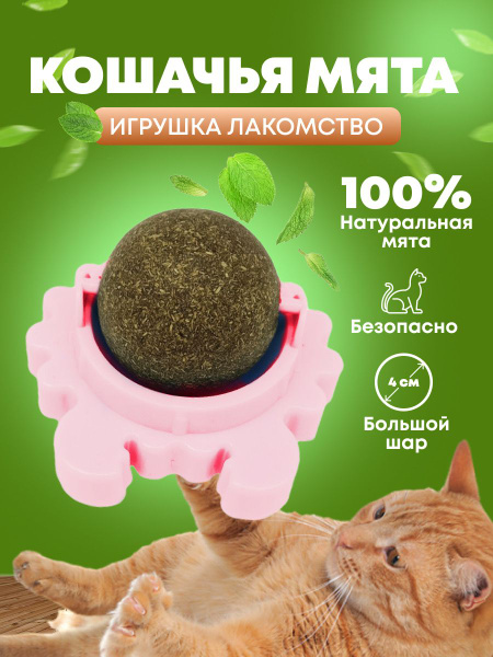 Игрушка шар кошачья мята/ PetLeon // Лакомство из натуральной мяты для ...