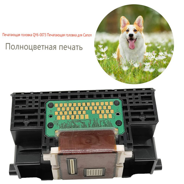 Печатающая головка Печатающая головка для принтеров Canon QY6-0073 ...