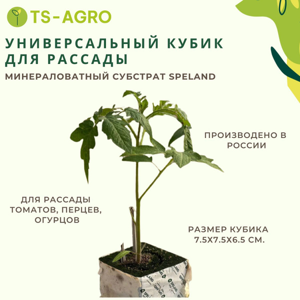 Кубик из минеральной ваты для рассады SPELAND MID 75х75х65 (для томатов ...