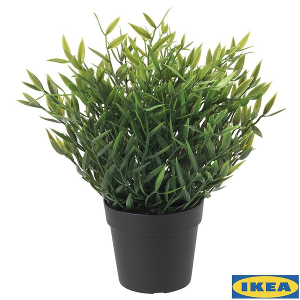 Искусственное растение в горшке ФЕЙКА ИКЕА (FEJKA IKEA), 26 см ...