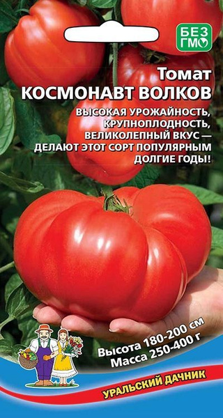 Помидор космонавт волков фото Томаты Уральский дачник Томат Космонавт Волков_105728 - купить по выгодным ценам