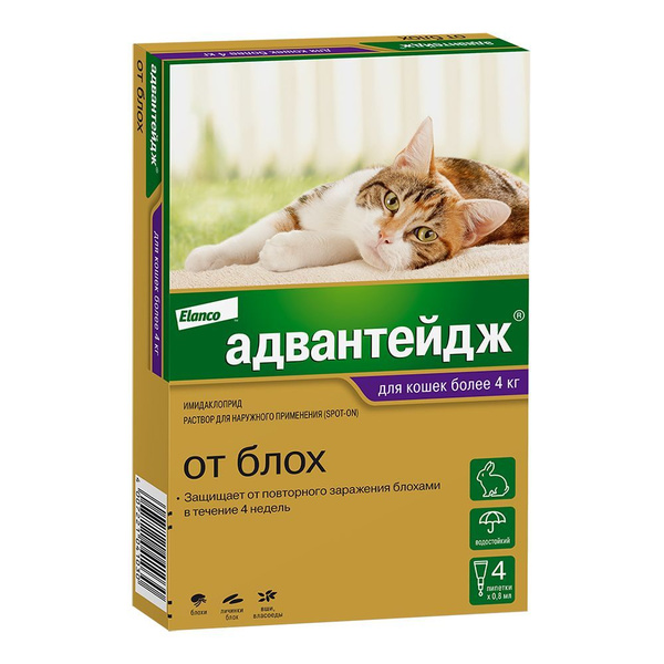 Адвантейдж капли на холку от блох и их укусов для кошек более 4 кг - 4 ...