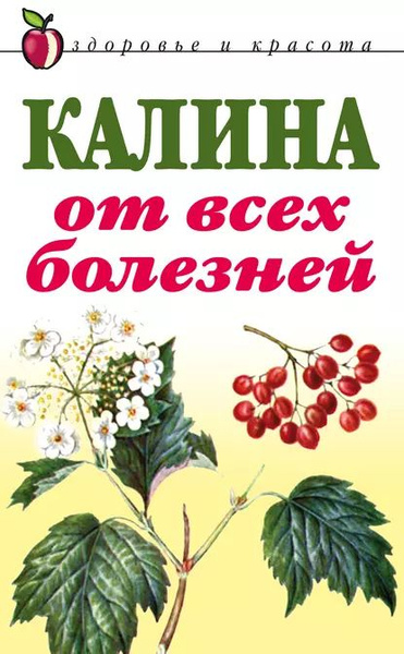 Витамины из калины проект исследование 3 класса