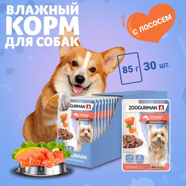 Паучи Зоогурман влажный корм для собак мелких и средних пород, Лосось ...