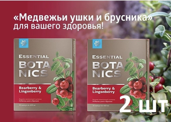БАД при урологических нарушениях. "Медвежьи ушки и брусника" 2 коробки ...