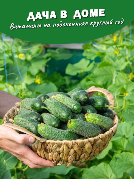 Огурцы Агрофирма Партнер Огурец бинго - купить по выгодным ценам в ...