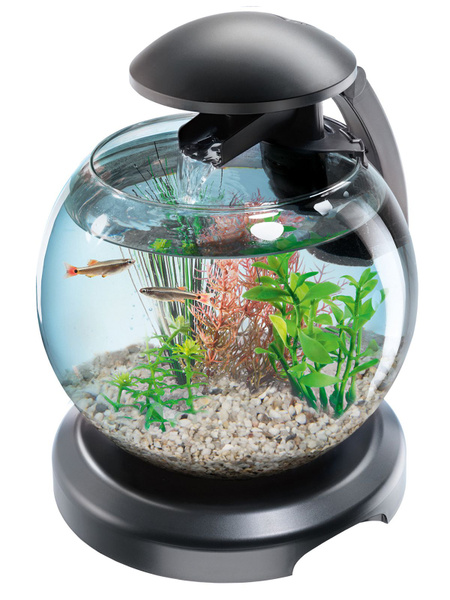Аквариумный комплекс Tetra Cascade Globe, черный (6,8л) - купить с ...