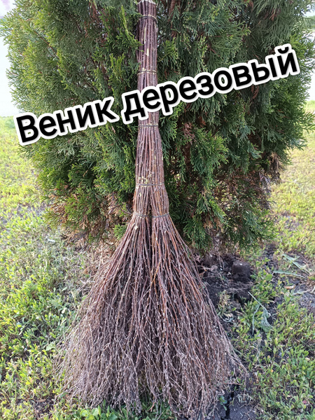 Дерезовый веник, Веник ручной работы, садовый, уличный, дачный ...