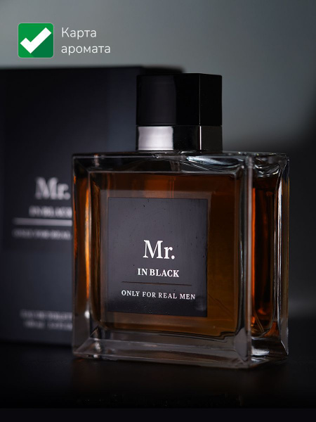 Christine Lavoisier Parfums Туалетная вода Mr. In Black мужские, 100 мл ...
