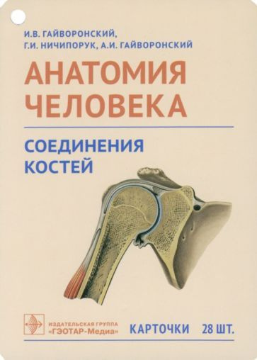 Гайворонский, Гайворонский - Анатомия человека. Соединения костей ...