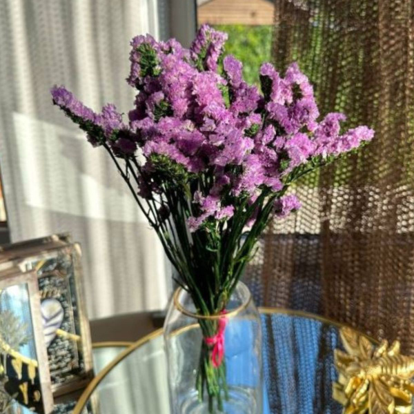 Стабилизированные цветы Статица, Лимониум, 50 см, 50 гр, 1 шт купить по ...