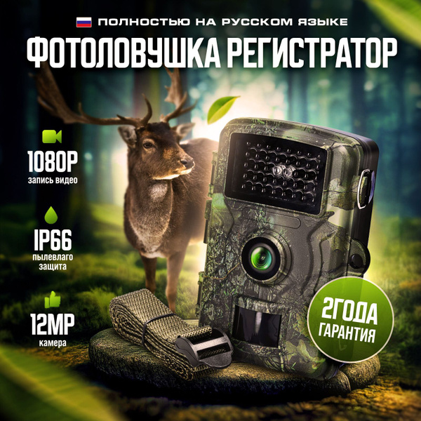 ALFATREND Фотоловушка - купить с доставкой по выгодным ценам в интернет ...