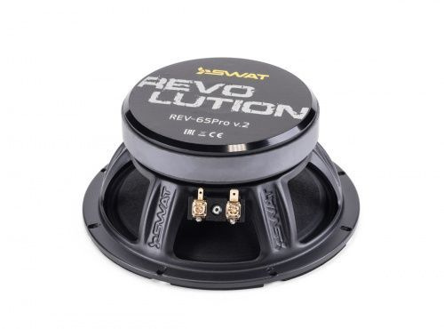 SWAT REV-65Pro v.2 (эстрадный мидбас,громкая,250Вт.,пара) колонки ...