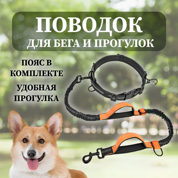 Эластичный поводок для бега и прогулок с собакой, с амортизаторами ...