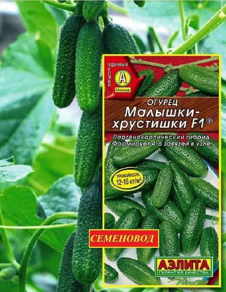 Огурцы Агрофирма Аэлита Огурец._. - купить по выгодным ценам в интернет ...