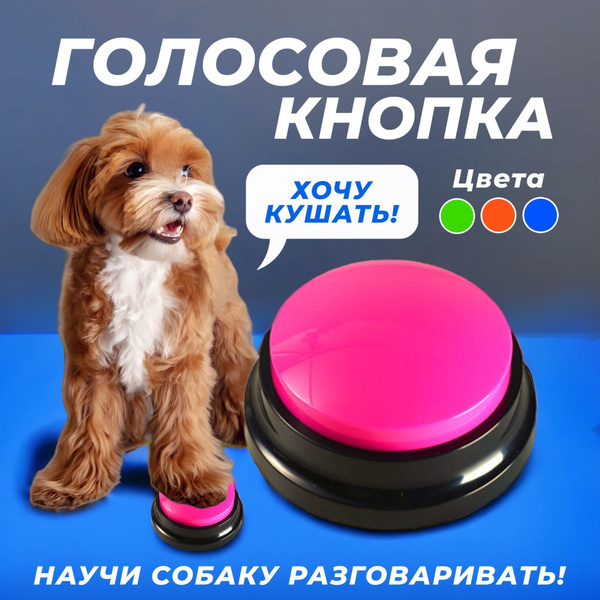 Голосовая кнопка для собак - купить с доставкой по выгодным ценам в ...