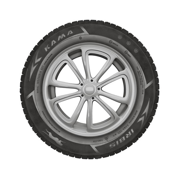 Шины для легковых автомобилей КАМА 175/70 13 Зима Шипованные - купить в ...