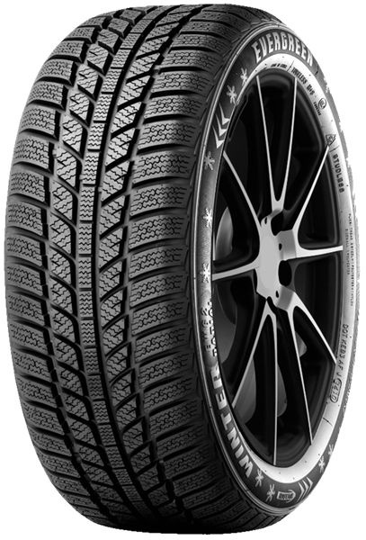 Шины для легковых автомобилей Evergreen 205/65 15 Зима Нешипованные ...