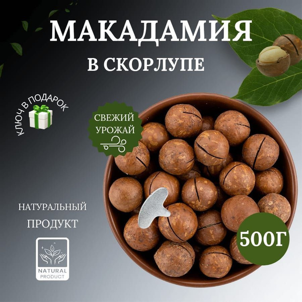 Орех Макадамия в скорлупе, 1кг, 500гр - купить с доставкой по выгодным ...
