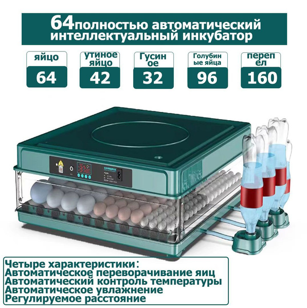 Инкубатор для яиц с термостатом, гигрометром и встроенным овоскопом, в ...