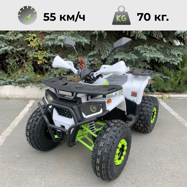 Квадроцикл детский бензиновый Lion 125 AY - купить с доставкой по ...