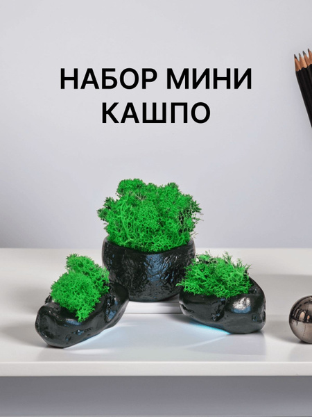 Набор мини кашпо со стабилизированным мхом - купить с доставкой по ...