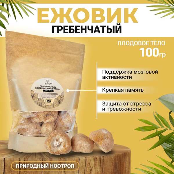 Ежовик гребенчатый плодовое тело гриб ежевик 100 грамм, ГрибNik ...