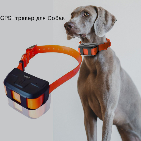 GPS-трекер для питомца 4G GPS трекер для собак, с A-GPS, LBS купить по ...