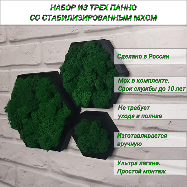 Украшение настенное интерьерное Agiliti Панно со мхом - купить по ...