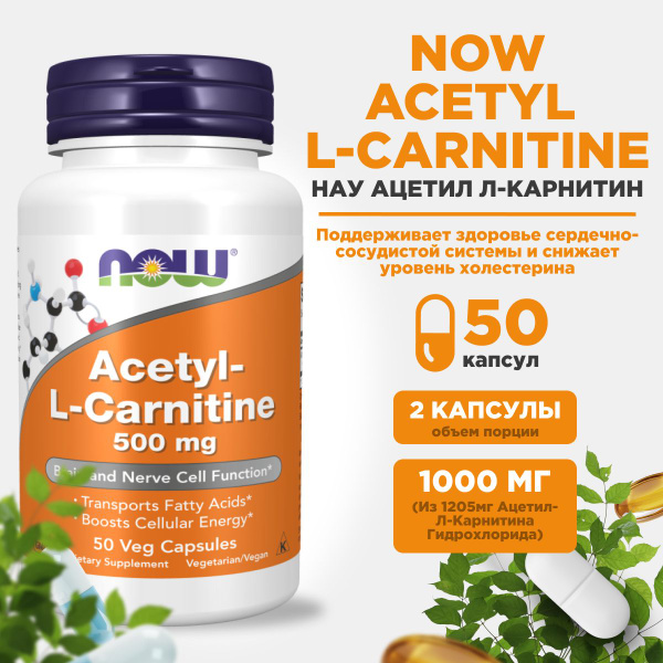 Now Acetyl L Carnitine