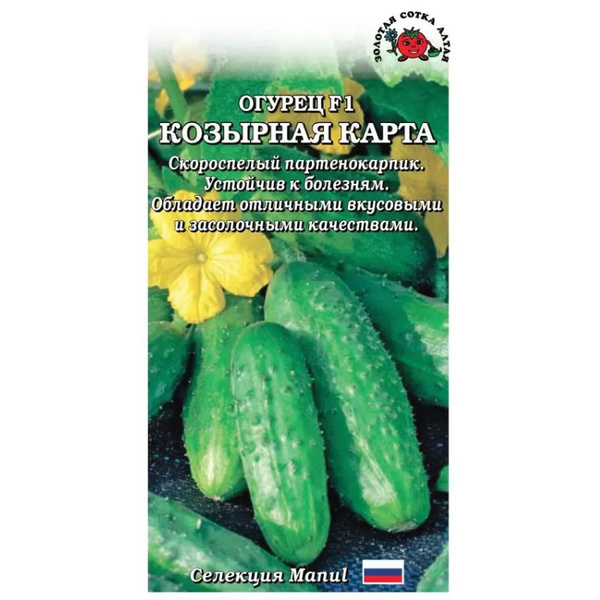 Огурцы Золотая сотка Алтая Тор30799 .1 - купить по выгодным ценам в ...