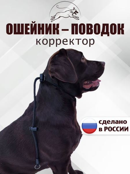Поводок для собак контроллер с фиксатором для крупных и средних пород ...