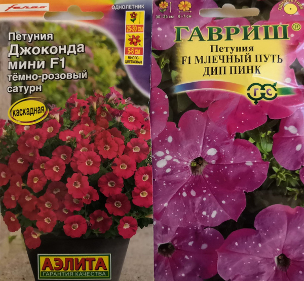 Агрофирма Аэлита Петуния Джоконда мини F1. Темно-розовый сатурн ...