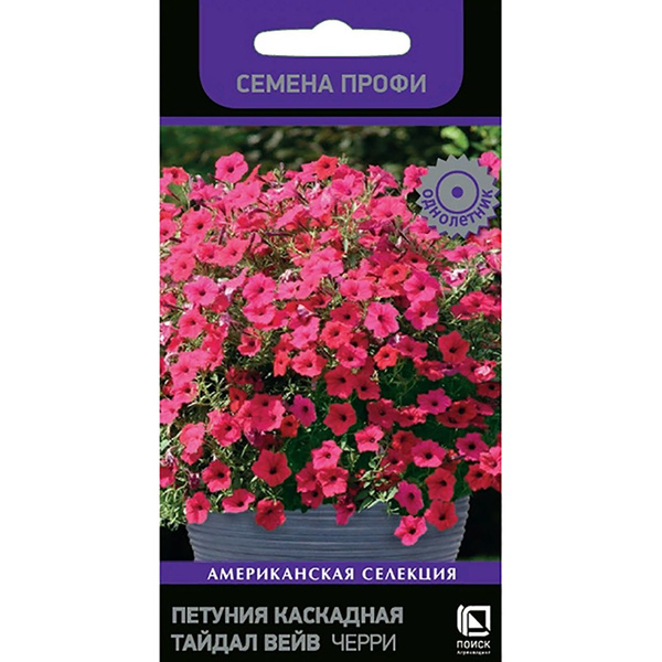 Тайдал петуния описание фото отзывы