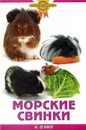 Морские свинки - О`Нил А.