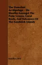 The Hawaiian Archipelago - Six Months Amongst The Palm Groves, Coral Reefs, And Volcanoes Of The Sandwich Islands - Isabella L. Bird