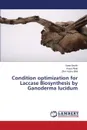 Condition optimization for Laccase Biosynthesis by Ganoderma lucidum - Bashir Sana, Aftab Arusa, Bilal Zill-e-Huma