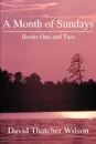 A Month of Sundays. Books One and Two - David T. Wilson