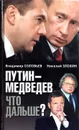 Путин - Медведев. Что дальше? - Соловьев Владимир Рудольфович, Злобин Николай Васильевич