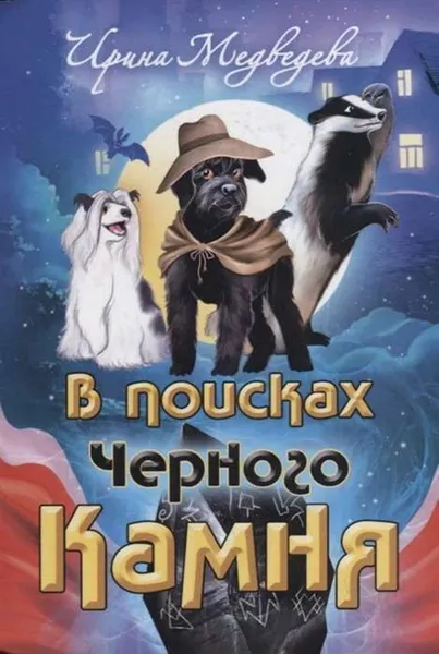 Обложка книги В поисках Черного Камня, Медведева Ирина