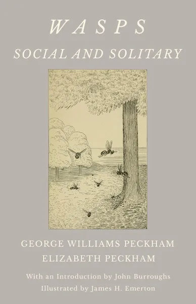 Обложка книги Wasps - Social and Solitary - With an Introduction by John Burroughs - Illustrated by James H. Emerton, George Williams Peckham, Peckham Elizabeth