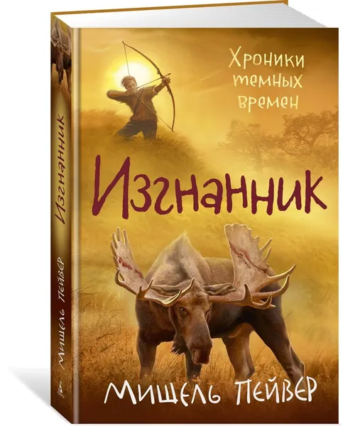 Обложка книги Хроники темных времен. Кн.4. Изгнанник, Пейвер Мишель