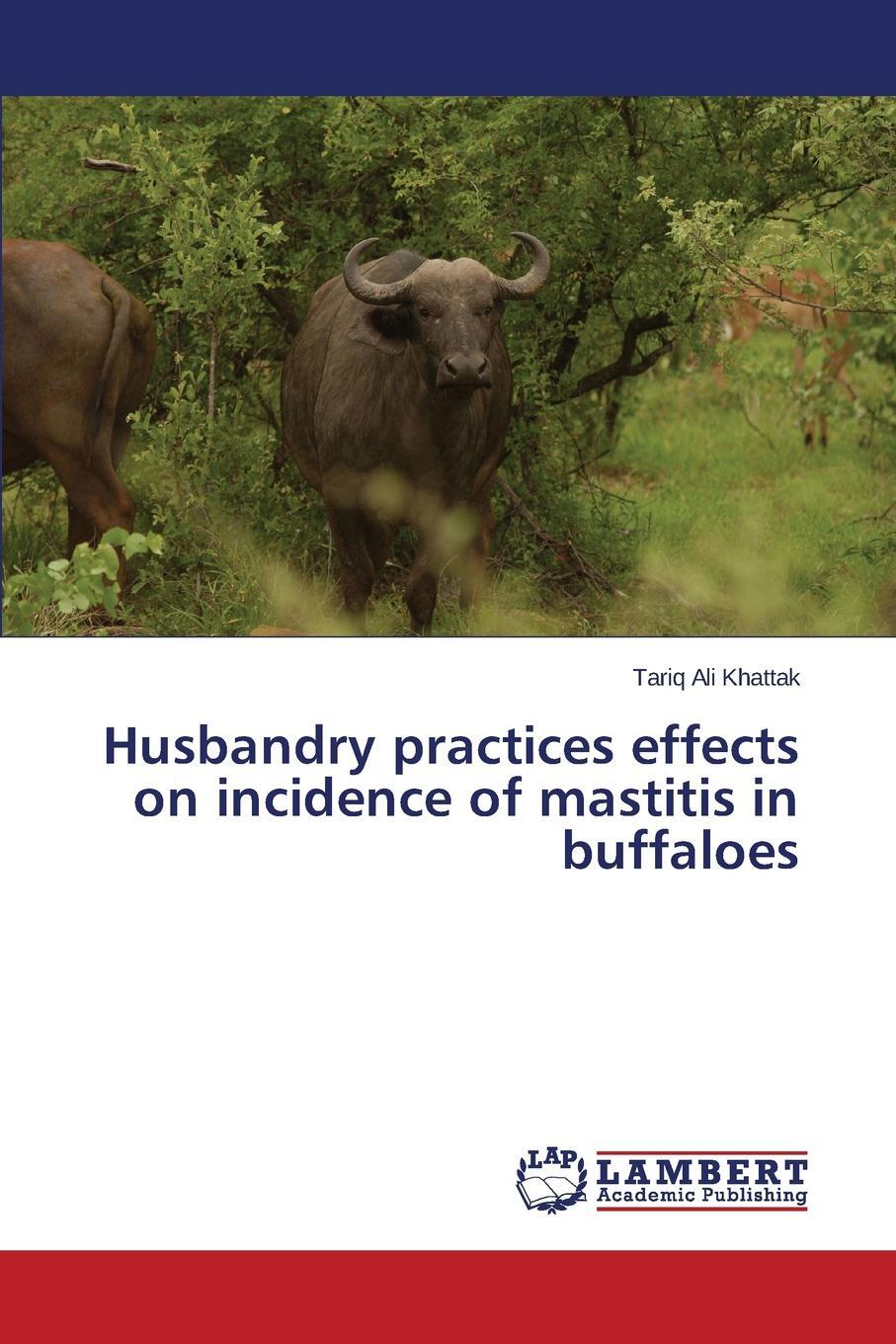 фото Husbandry practices effects on incidence of mastitis in buffaloes