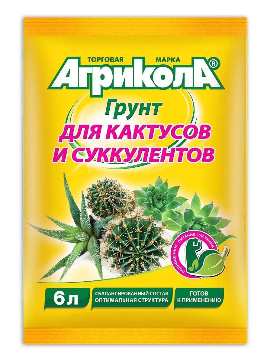 Земля Для Суккулентов Купить В Москве