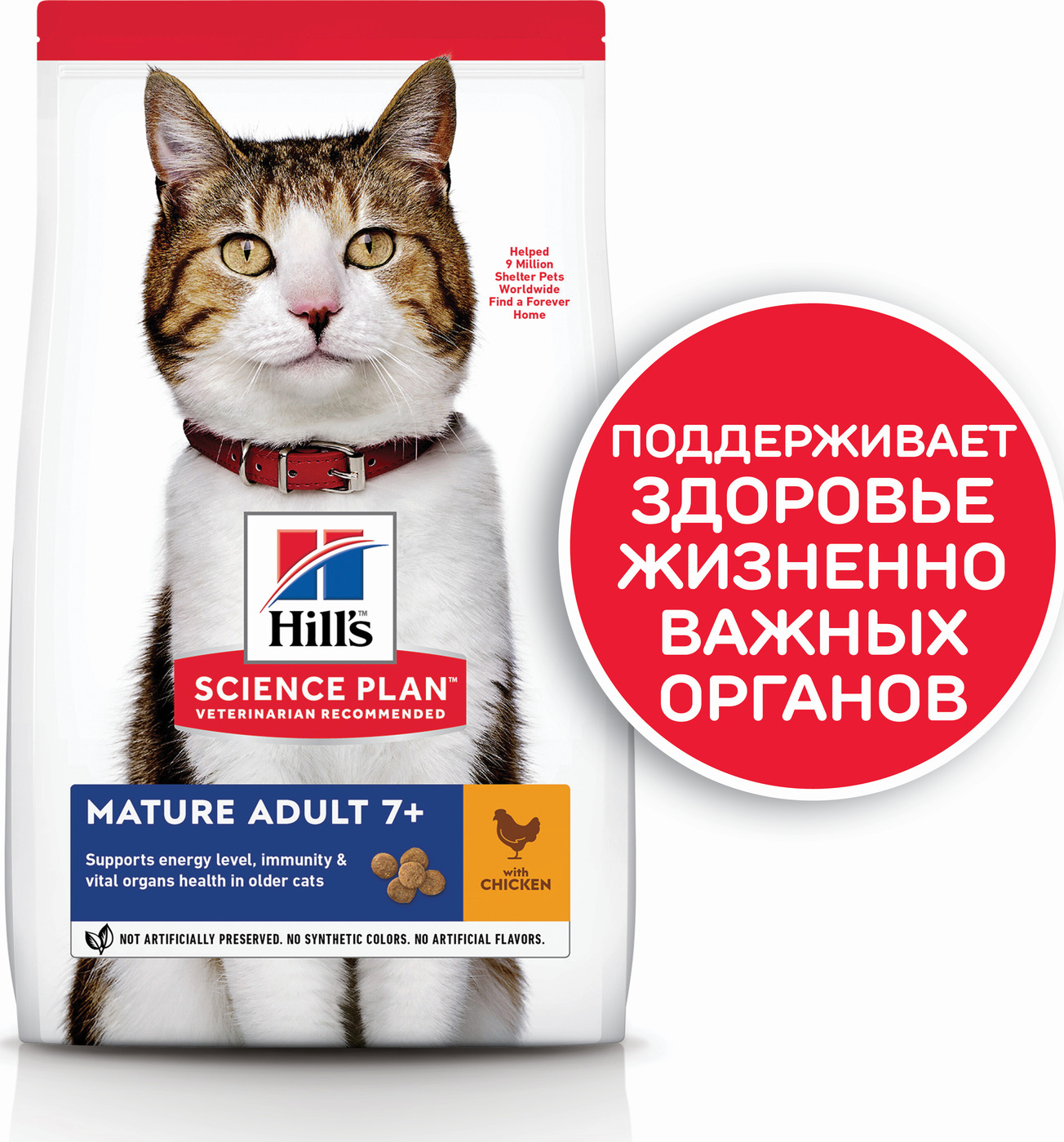 Сухой корм Hill's Science Plan для пожилых кошек (7+) для поддержания здоровья в период старения, с курицей, 300 г - изображение